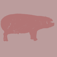 Brochette de porc